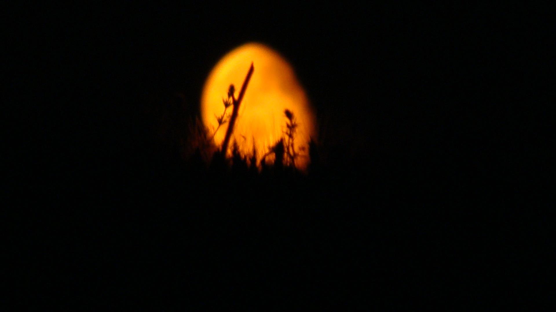 Blasova 2012 - DSC07233.JPG